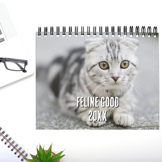 Funny Cat Jokes Kitten Cat Lover Photo Collage Kalender
