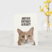 Funny Cat Kitten Me Pub Karte (Gelbe Blume)