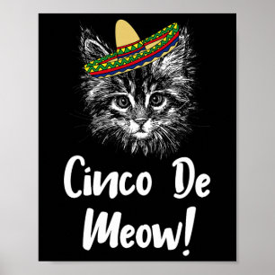 Funny Cat Kitty Meow Cinco De Mayo T Shirt für Kat Poster