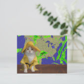 Funny Cat/Kitty Weatherman in Yellow Slicker Postkarte (Stehend Vorderseite)