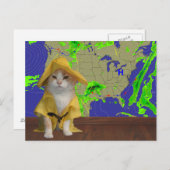 Funny Cat/Kitty Weatherman in Yellow Slicker Postkarte (Vorne/Hinten)