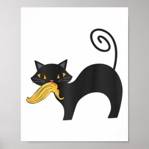 Funny Cat Ladys for Kamala Harris Anti Trump Femi Poster