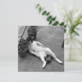 Funny Cat Lounges Schwarz-Weiß Karte (Stehend Vorderseite)