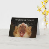 Funny Cat Lover Catty Birthday Card Karte (Gelbe Blume)