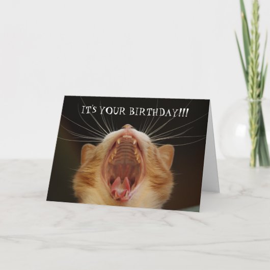 Funny Cat Lover Catty Birthday Card Karte (Vorderseite)