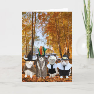 Funny Cat Lover Erntedank Card Feiertagskarte