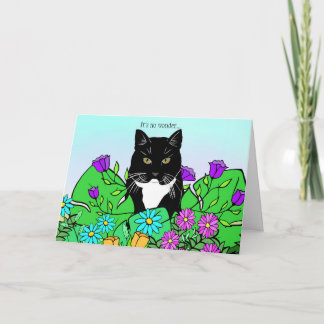 Funny Cat Lover Geburtstagskarte Karte