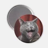 Funny Cat Magnet (Vorderseite/Rückseite)