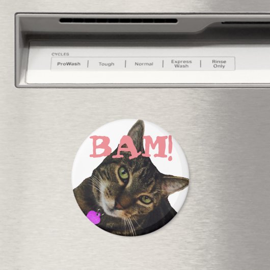 Funny Cat Magnet (In Situ (Geschirrspüler))