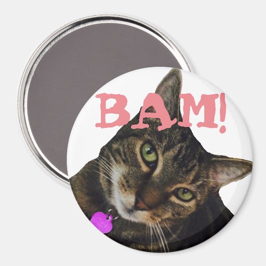 Funny Cat Magnet (Vorderseite/Rückseite)