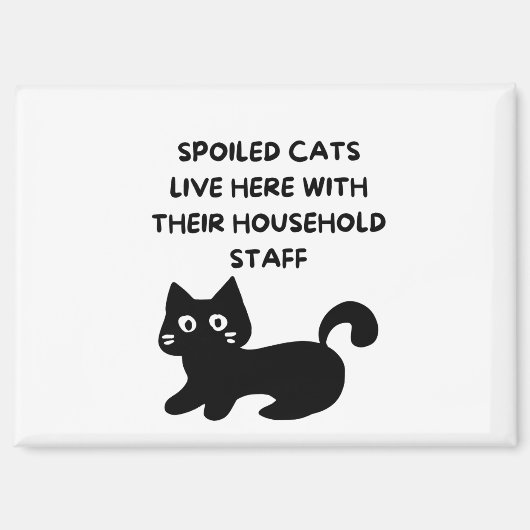 Funny Cat Magnet (Vorderseite)