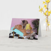 Funny Cat Massage Geburtstag Karte (Gelbe Blume)