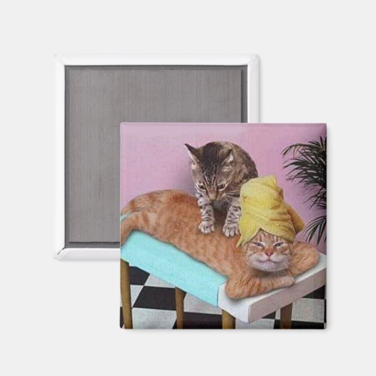 Funny Cat Massage Magnet (Vorderseite/Rückseite)