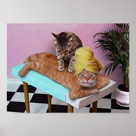 Funny Cat Massage Poster (Vorne)