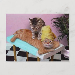 Funny Cat Massage Postkarte