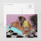 Funny Cat Massage Postkarte (Vorne/Hinten)