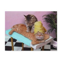 Funny Cat Massage