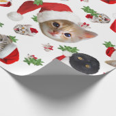 Funny Cat Maus und Catnip Geschenkpapier (Ecke)
