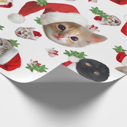 Funny Cat Maus und Catnip Geschenkpapier (Ecke)