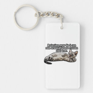 Funny Cat Meme für Kätzchen und Katzenbesitzer Schlüsselanhänger