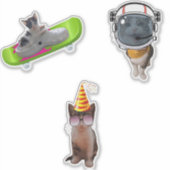 Funny Cat Memes Aufkleber (Vorderseite)