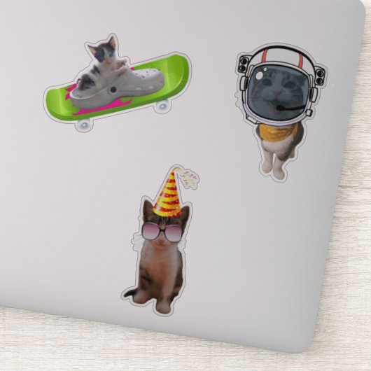 Funny Cat Memes Aufkleber (Detail)