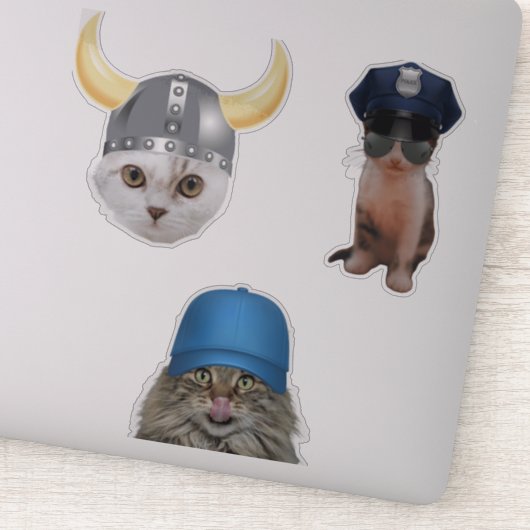 Funny Cat Memes Aufkleber (Detail)