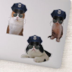 Funny Cat Memes Aufkleber