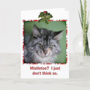 Funny Cat Mistletoe Weihnachtsgrüßkarte Feiertagskarte