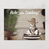 Funny Cat mit Cowboy Hat Riding Vacuum Cleaner Postkarte (Vorderseite)