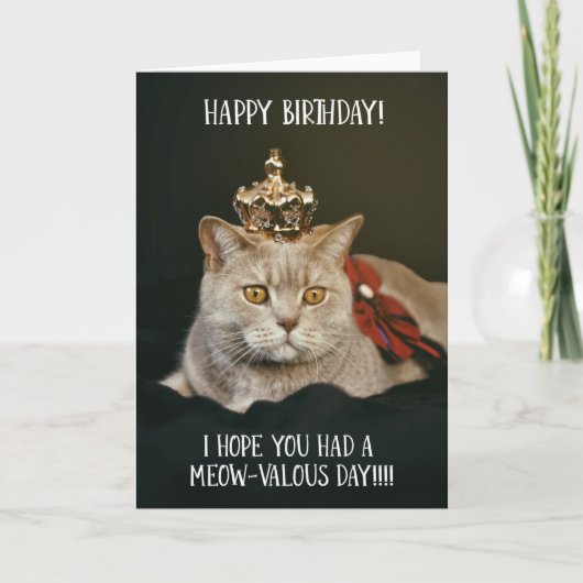 Funny Cat mit Crown Birthday Grußkarte Karte (Vorderseite)