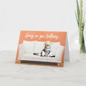 Funny Cat mit einem Sonnenhut auf einem Couch Gebu Karte (Vorderseite)