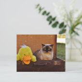 Funny Cat mit einer Ente im Kofferraum Postkarte (Stehend Vorderseite)