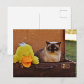 Funny Cat mit einer Ente im Kofferraum Postkarte (Vorne/Hinten)