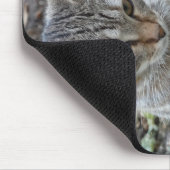 Funny Cat Mousepad (Ecke)