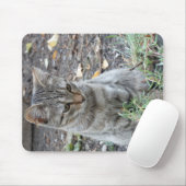 Funny Cat Mousepad (Mit Mouse)