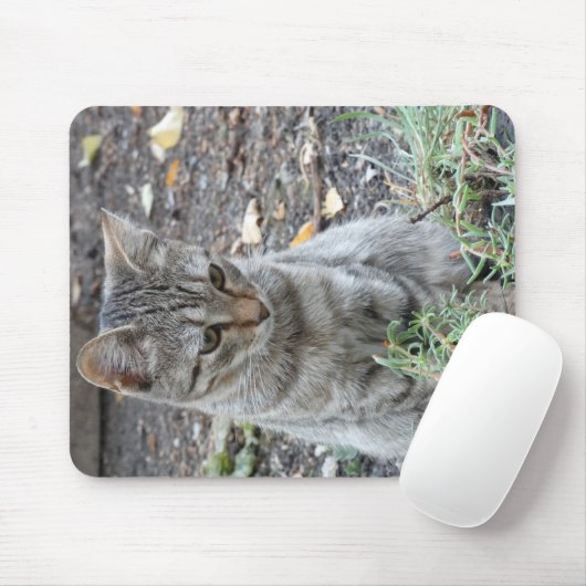 Funny Cat Mousepad (Mit Mouse)