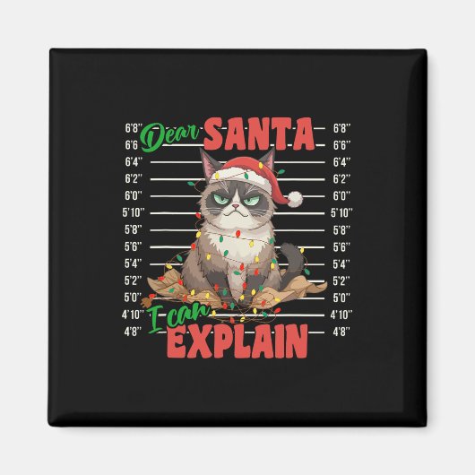 Funny Cat Mugshot Sehr geehrter Herr Santa I kann  Magnet (Vorne)