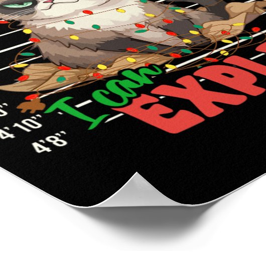 Funny Cat Mugshot Sehr geehrter Herr Santa I kann  Poster (Ecke)