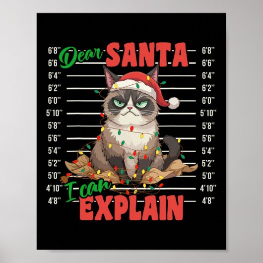 Funny Cat Mugshot Sehr geehrter Herr Santa I kann Poster (Vorne)