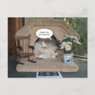 Funny Cat neue Adresse übertragen Ankündigungspostkarte