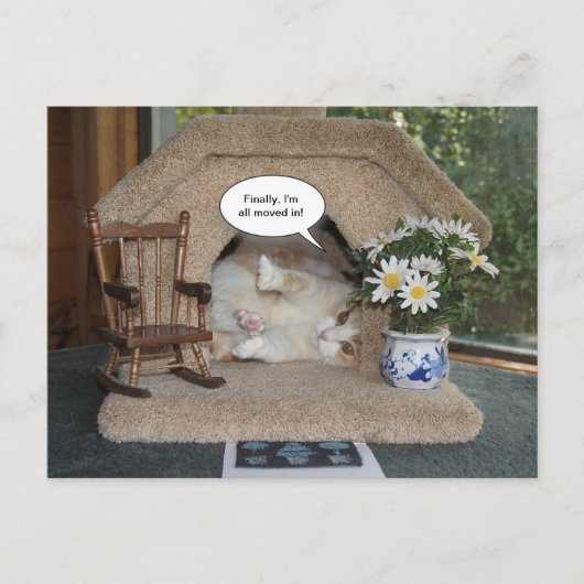 Funny Cat neue Adresse übertragen Ankündigungspostkarte (Vorderseite)