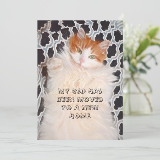 Funny Cat Niedlich Moving New Address Ankündigung (Stehend Vorderseite)