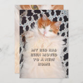 Funny Cat Niedlich Moving New Address Ankündigung (Vorne/Hinten)