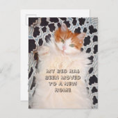 Funny Cat Niedlich Moving New Address Postkarte (Vorne/Hinten)