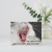 Funny Cat Niedliche Geburtstag Postcard Postkarte (Stehend Vorderseite)