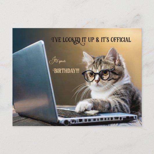 Funny Cat Offiziell Geburtstag Postkarte (Vorderseite)