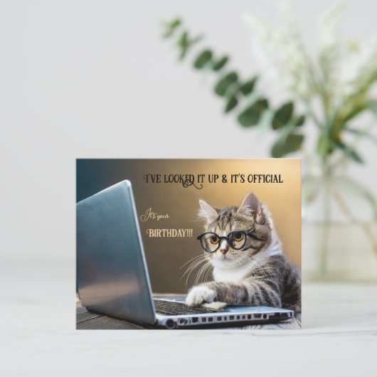 Funny Cat Offiziell Geburtstag Postkarte (Stehend Vorderseite)