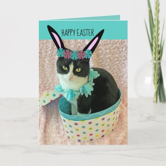 Funny Cat Ostercard Karte (Vorderseite)