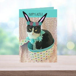 Funny Cat Ostercard Karte